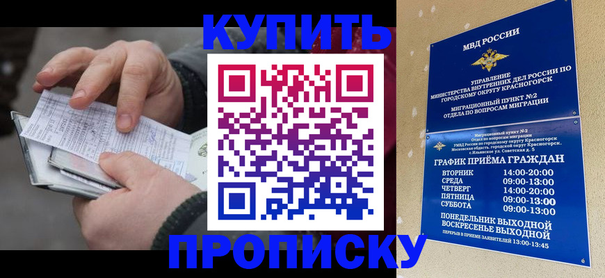 временная регистрация недорого в Клинцах